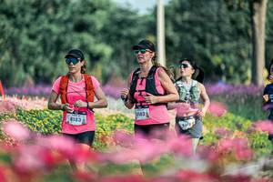 BIB: 
                            <button type="button" onclick="openModal(25934553)" class="btn btn-primary btn-sm float-right btn-popup" data-toggle="modal" data-target=".modal-high-quality">
                        <i class="fas fa-shopping-cart"></i> Add to Cart
                    </button>
                                            <button type="button" onclick="isThisMe(25934553, true)" class="btn btn-success btn-sm float-right btn-popup btn-isme hidden" data-toggle="tooltip" data-placement="bottom" title="นี่คือรูปของคุณใช่ไหม คลิกที่นี่เพื่อเอาเข้าอัลบั้ม">
                        <i class="fas fa-plus"></i> Add to album
                    </button>
                    <button type="button" onclick="isThisMe(25934553, false)" class="btn btn-warning btn-sm float-right btn-popup btn-isnotme hidden">
                        <i class="fas fa-ban"></i> Remove from album
                    </button>